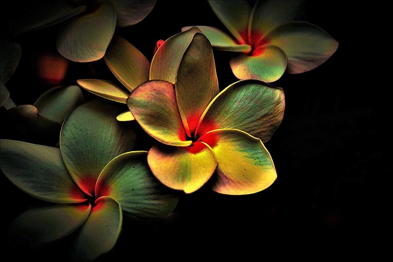Ethereal Ambiance